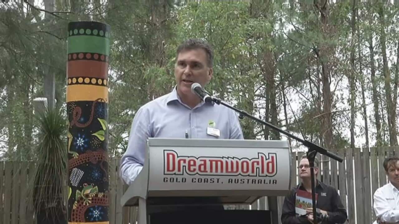 NTV_David_Dreamworld_grab1_16516855_0.jpg