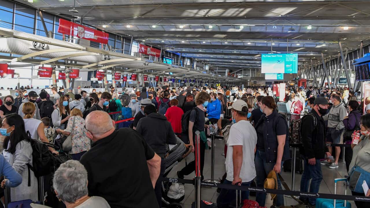 SYDNEY AIRPORT DELAYS