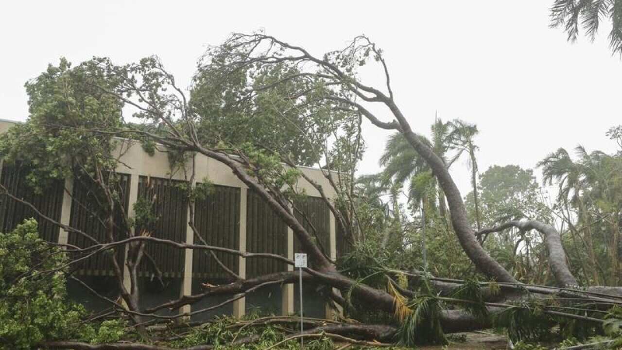 Cyclone Marcus damage in NT