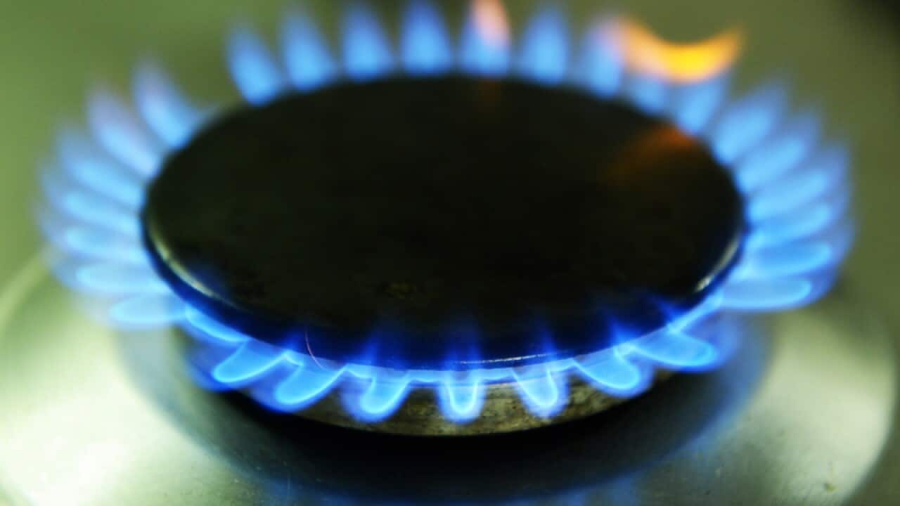 A gas burner on a hob cooking appliance