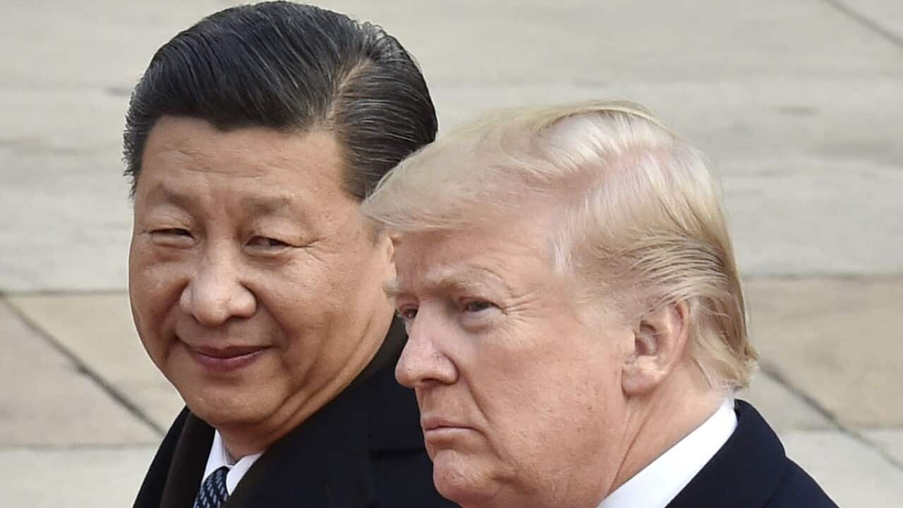 File photo taken in November 2017 shows U.S. President Donald Trump (R) and Chinese President Xi Jinping