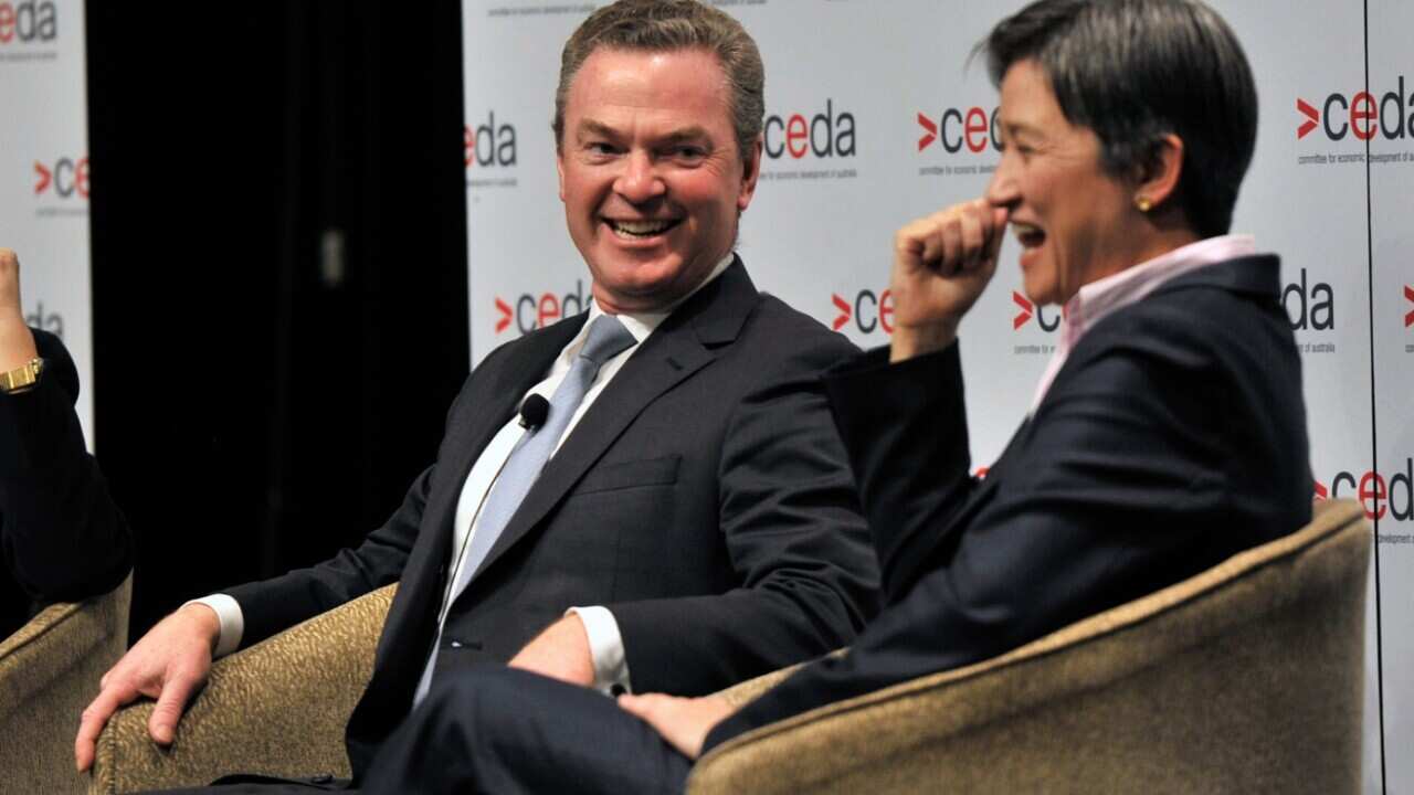 Minister for Innovation, Industry and Science Christopher Pyne