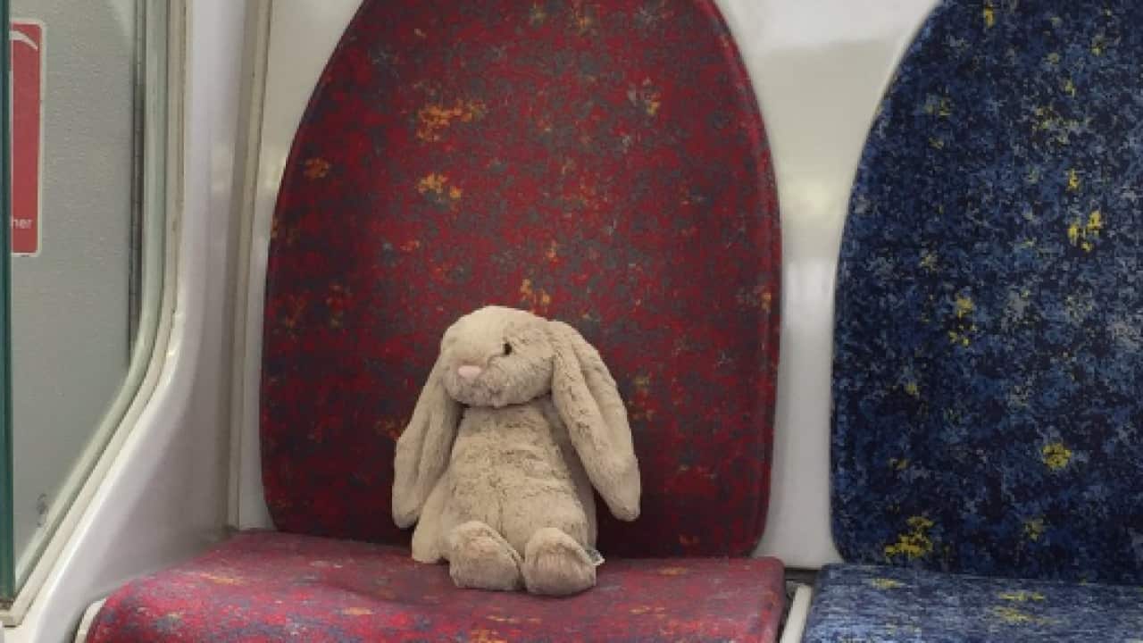 An abandoned plush bunny in the train