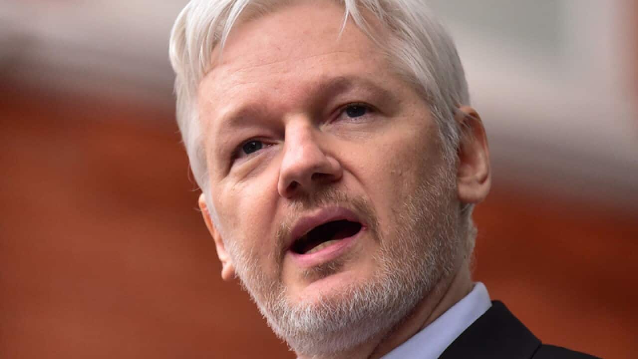 WikiLeaks founder Julian Assange