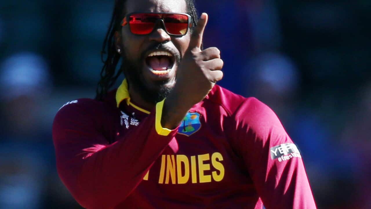 West Indies star Chris Gayle