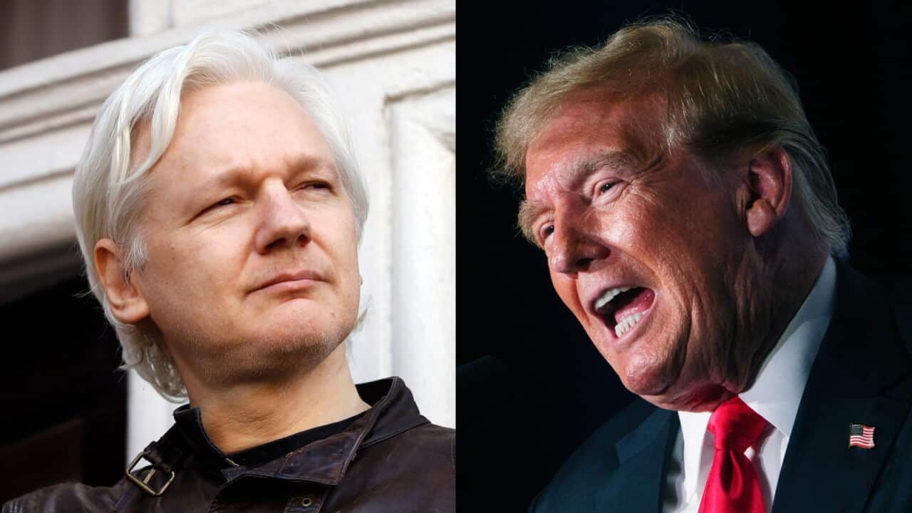 A collage image of Julian Assange and former US president Donald Trump.