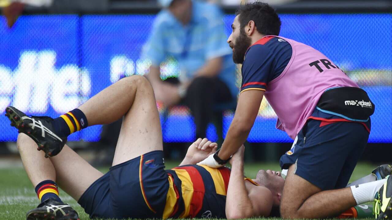Adelaide forward Mitch McGovern