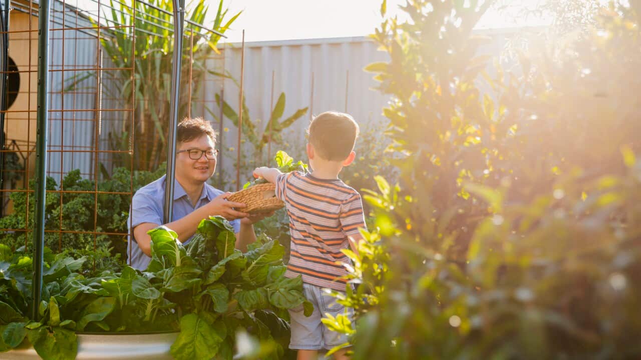 Bonding In The Garden