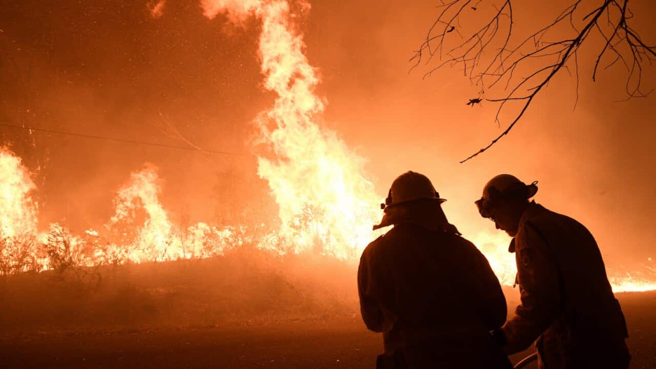 NSW Rural Fire Service crews as the Three Mile fire approaches Mangrove Mountain north of Sydney, Thursday, December 5, 2019