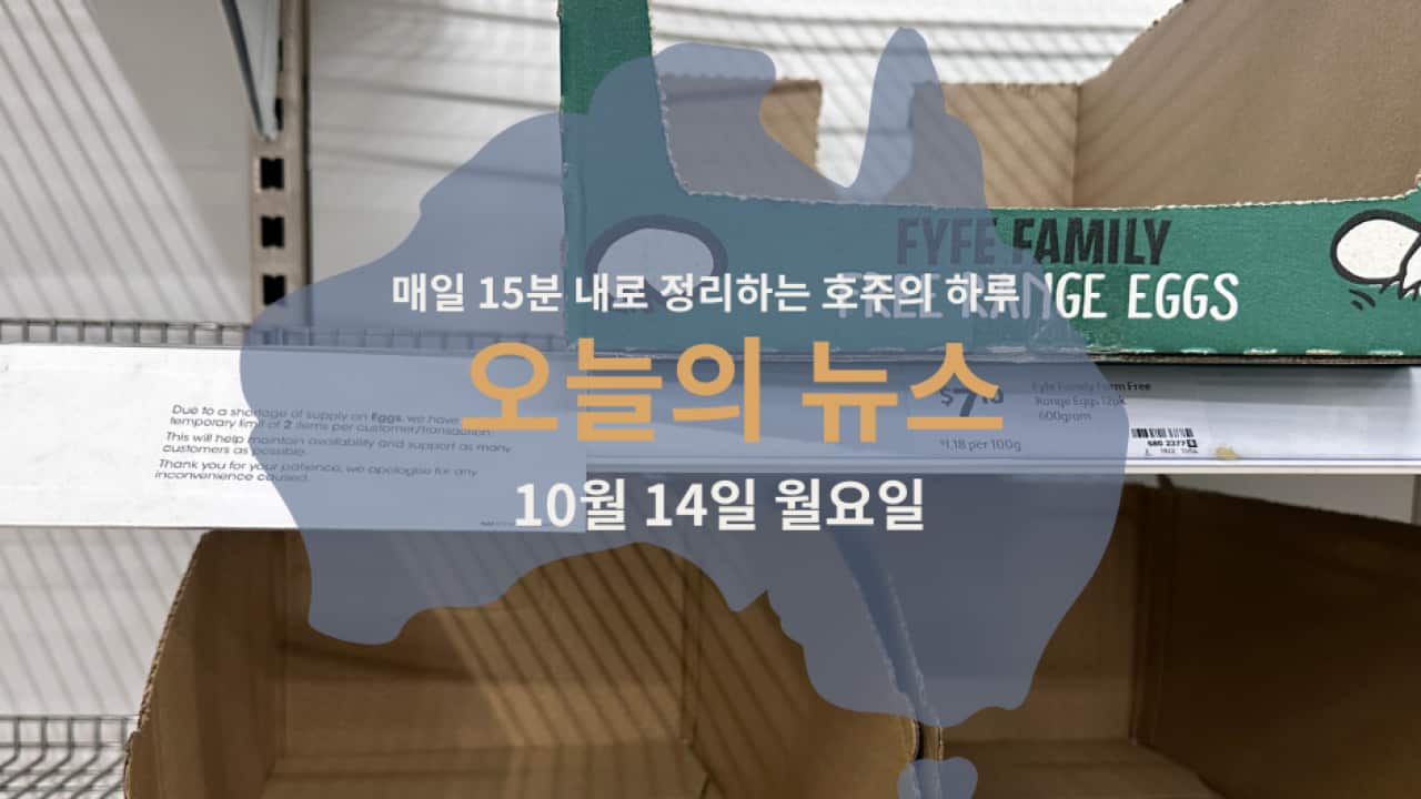 15news_web14.png