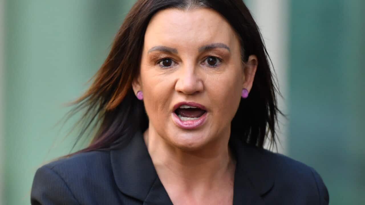 Jacqui Lambie talking outside