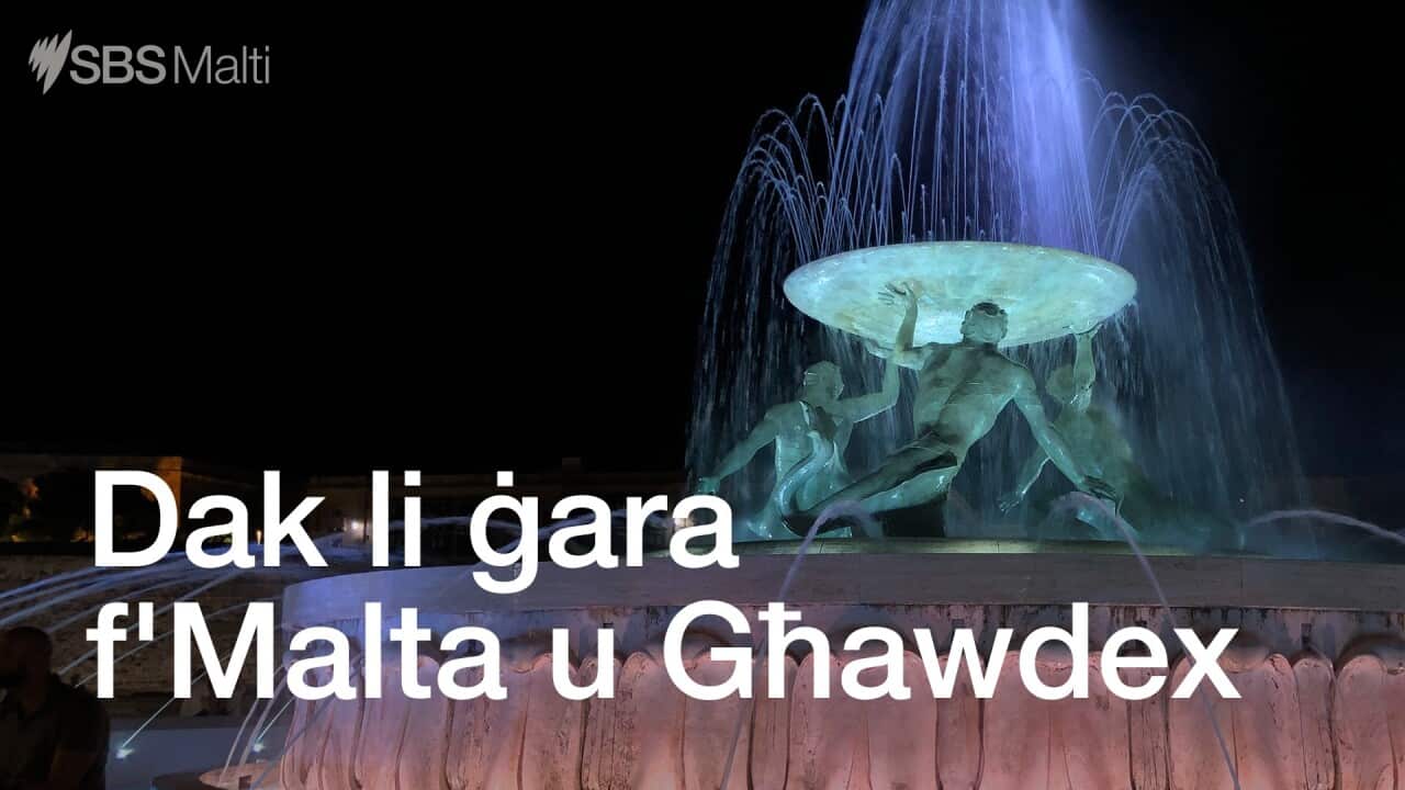 Maltese_Avventimenti_