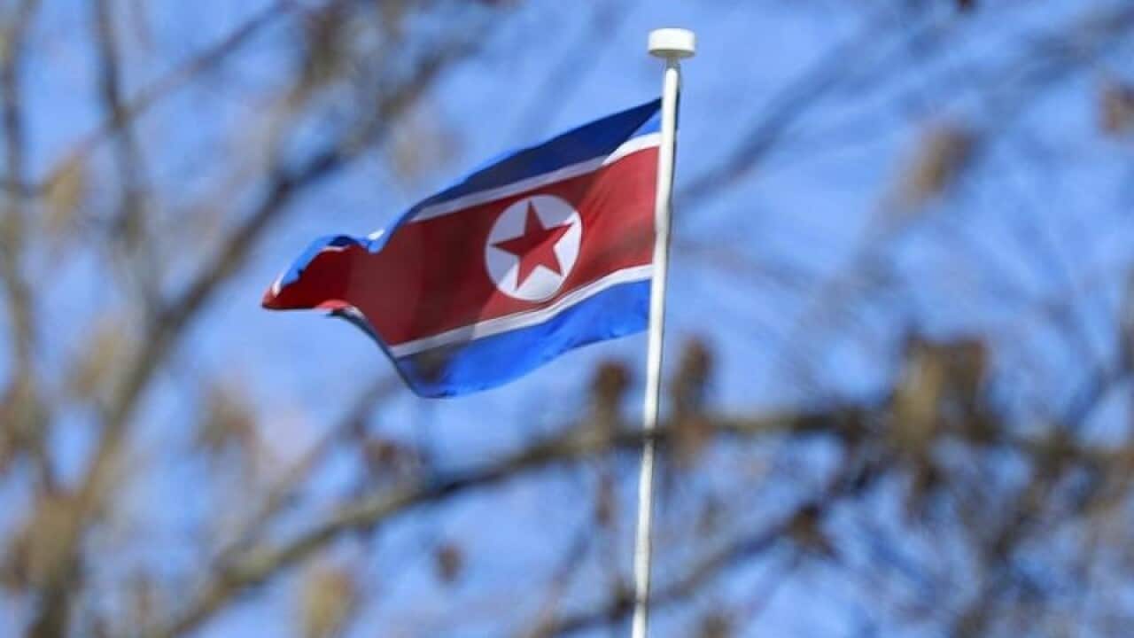The North Korean national flag