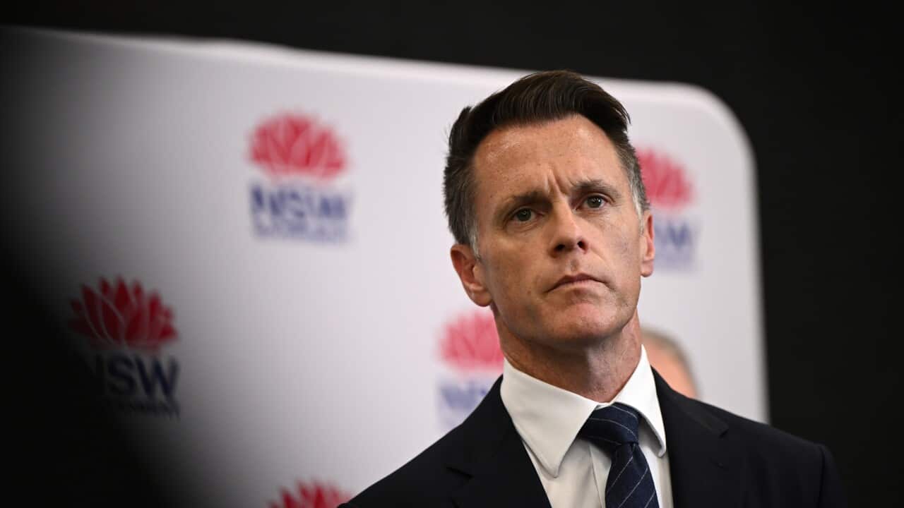 CHRIS MINNS PRESSER