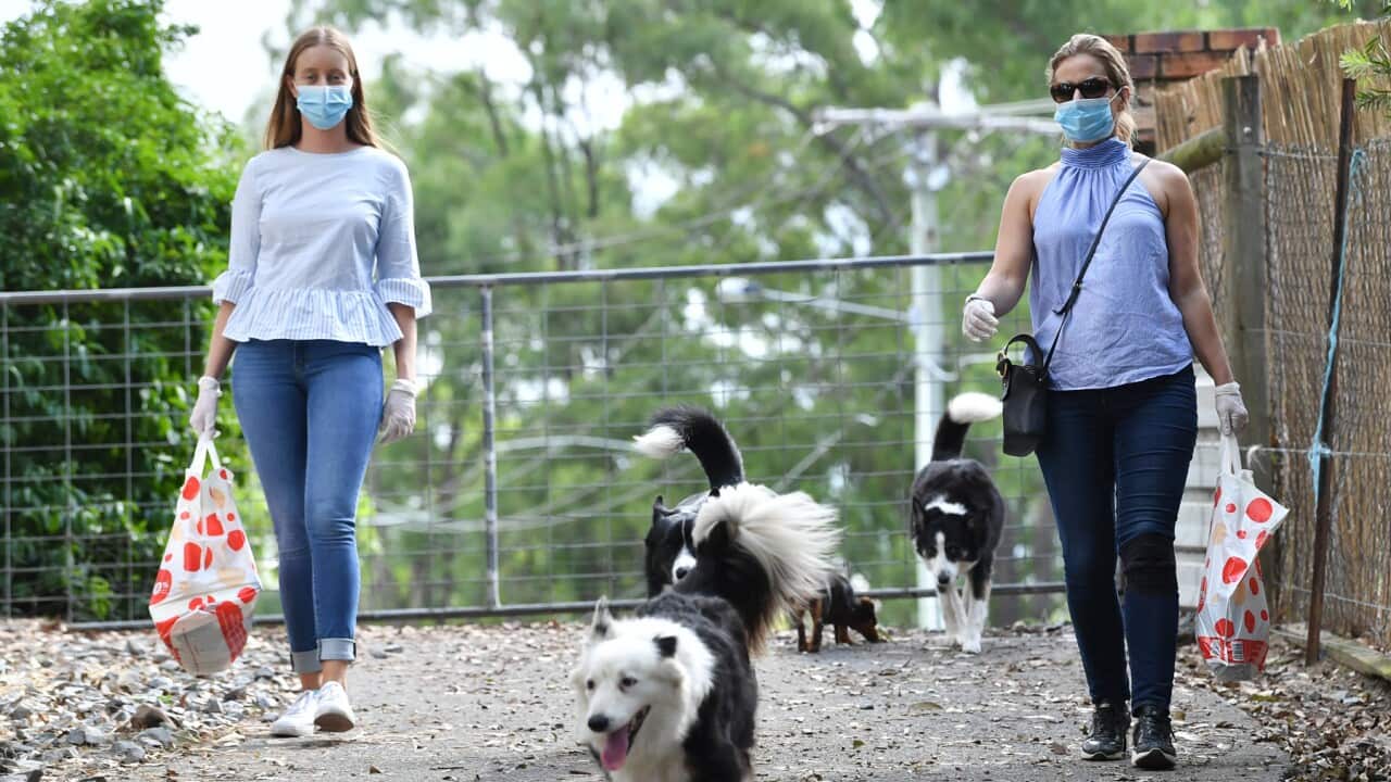 Shopping Angels provide deliveries to those in isolation