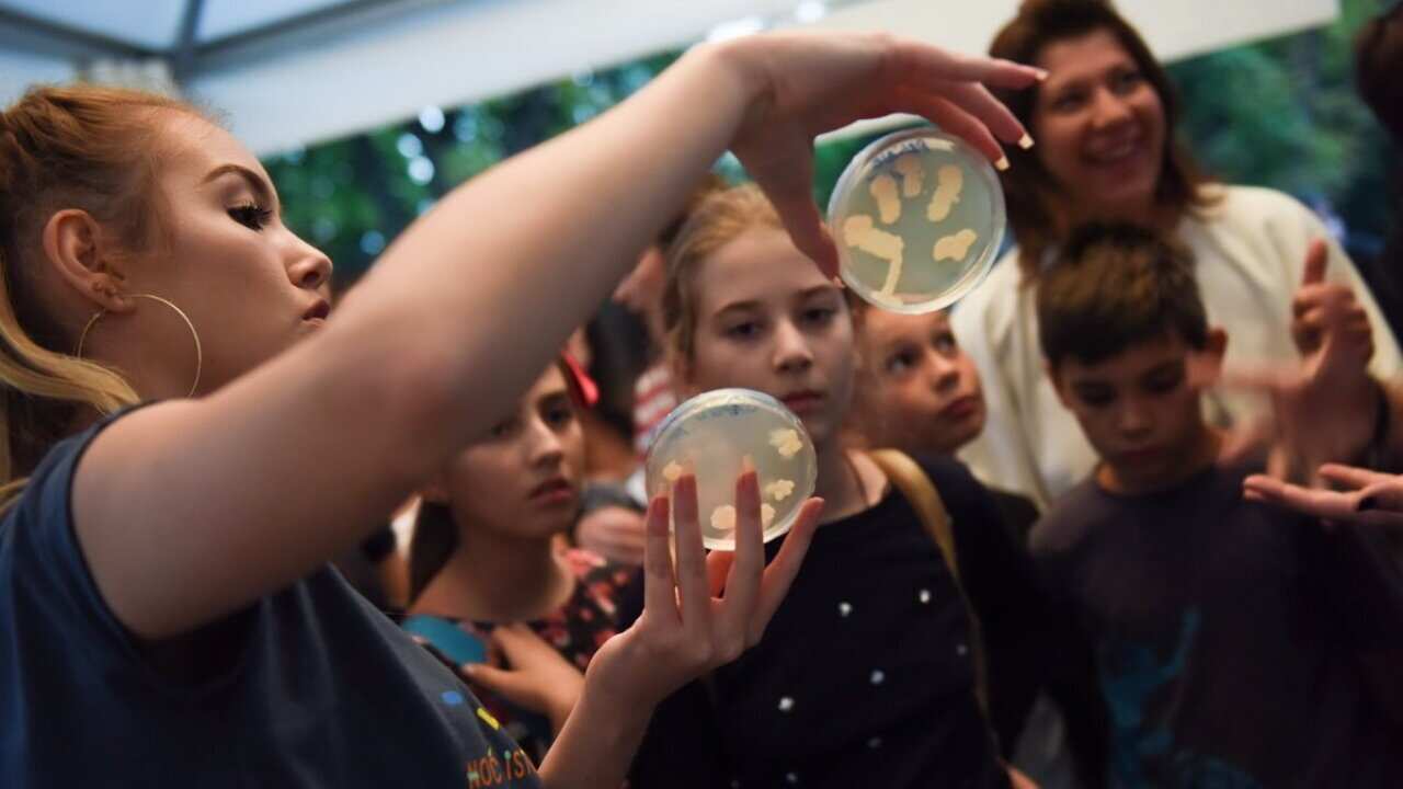 Science experiment