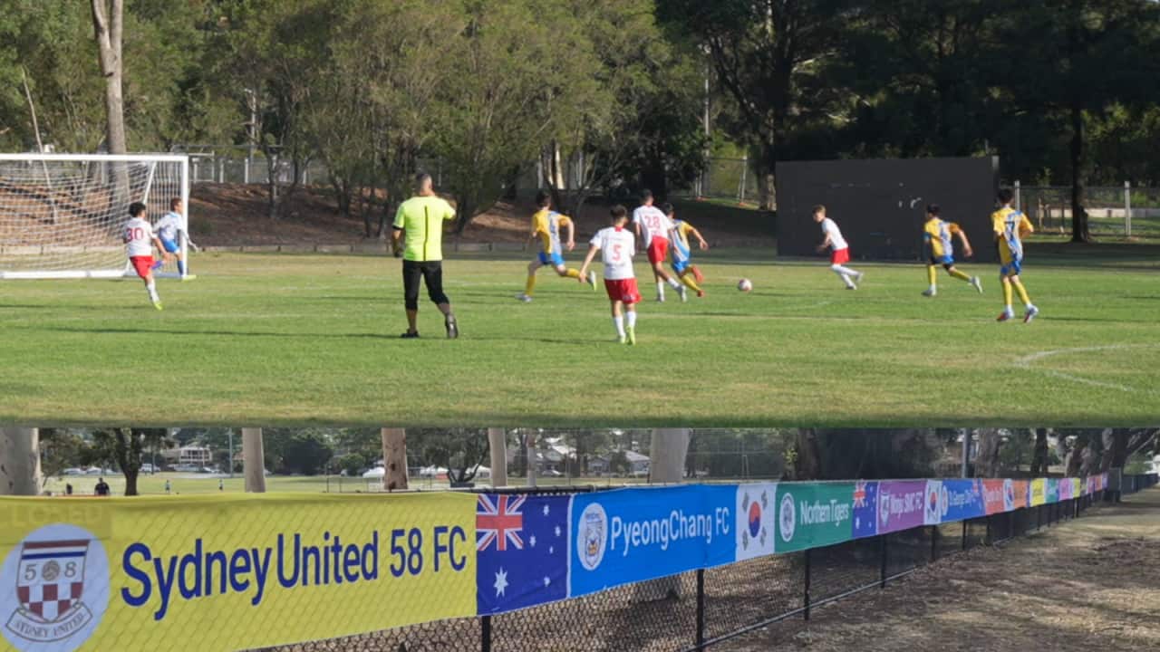 평창 시드니 유소년 축구대회.png