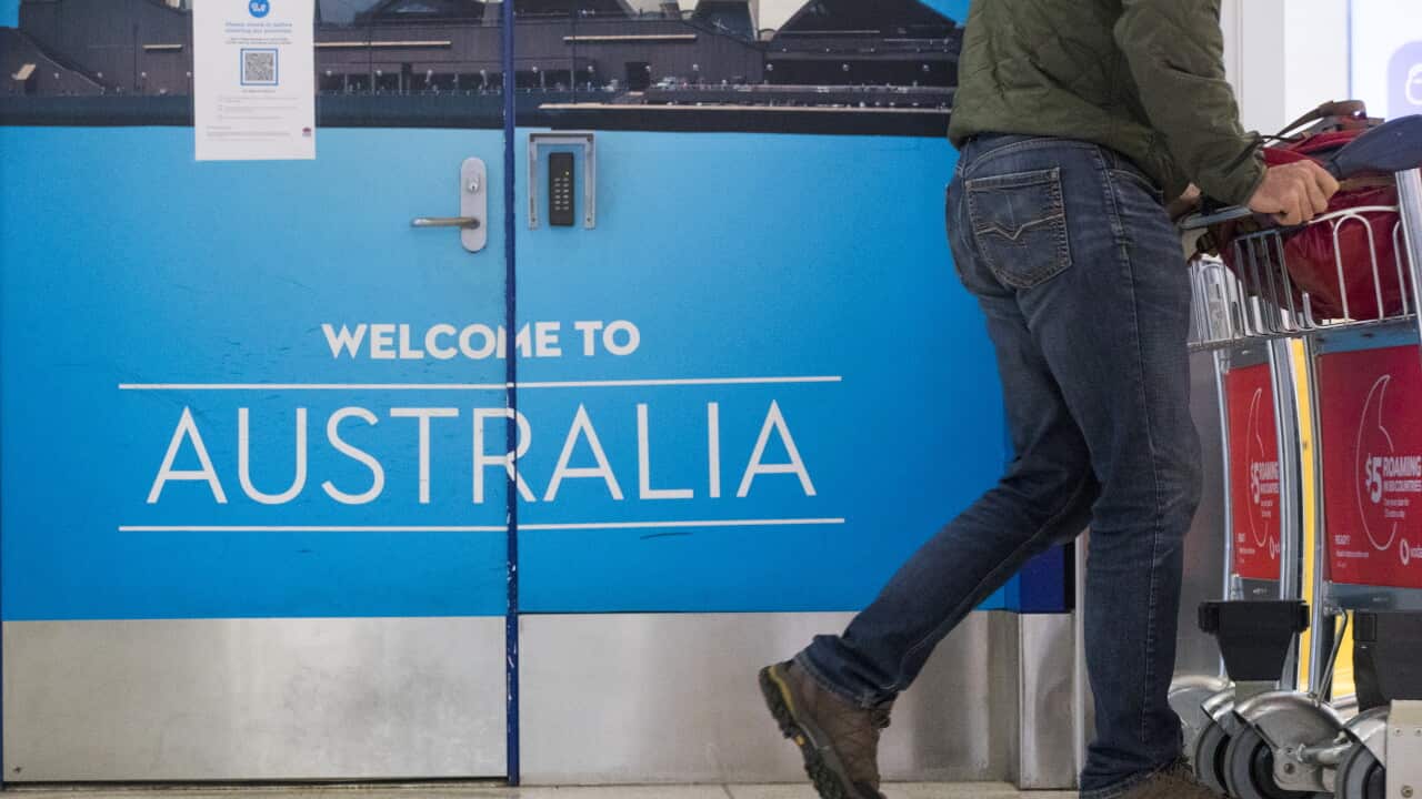Il governo federale ha aumentato del 25 per cento il costo della domanda per la maggior parte delle categorie di visti australiani.