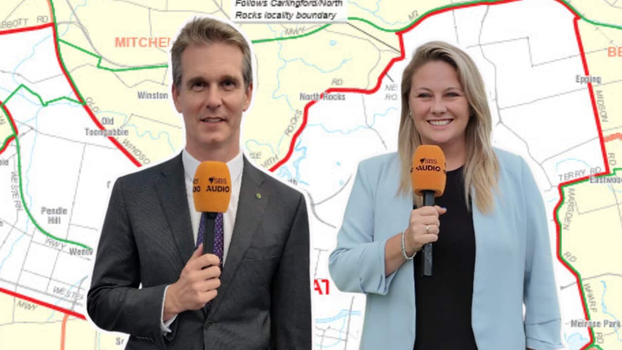 Image for read more article ''