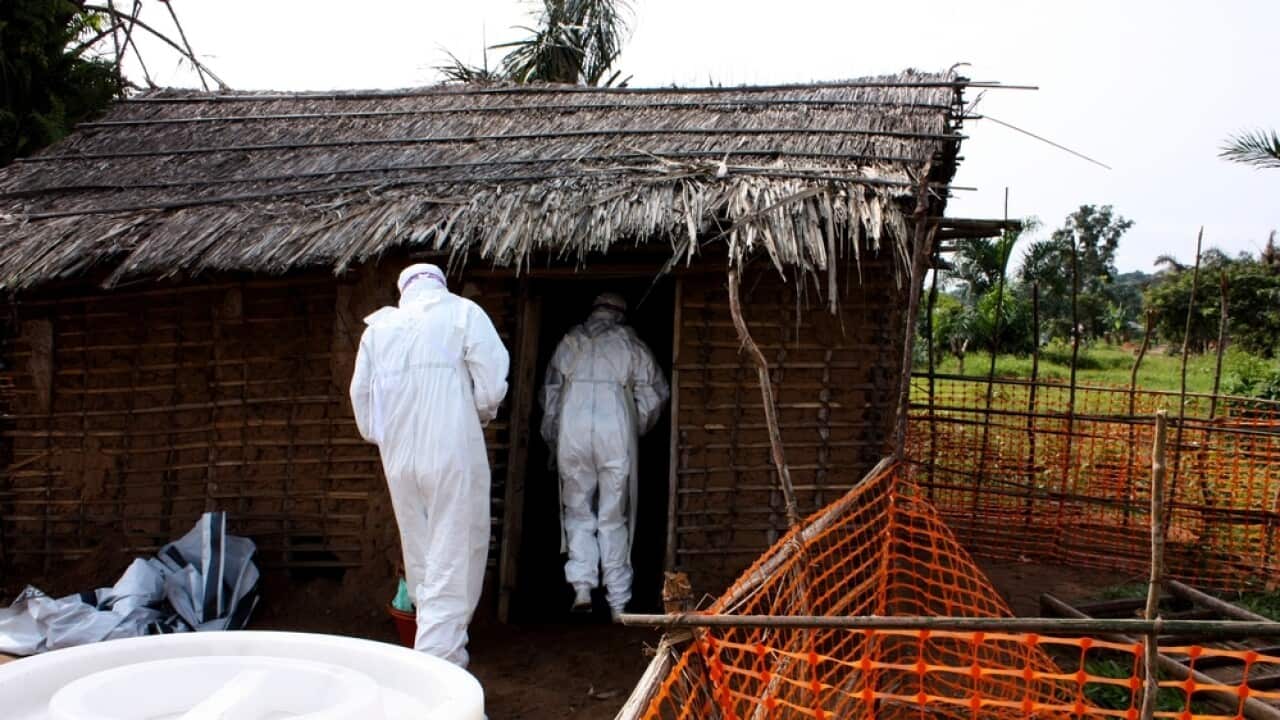 Ebola virus in West Africa.