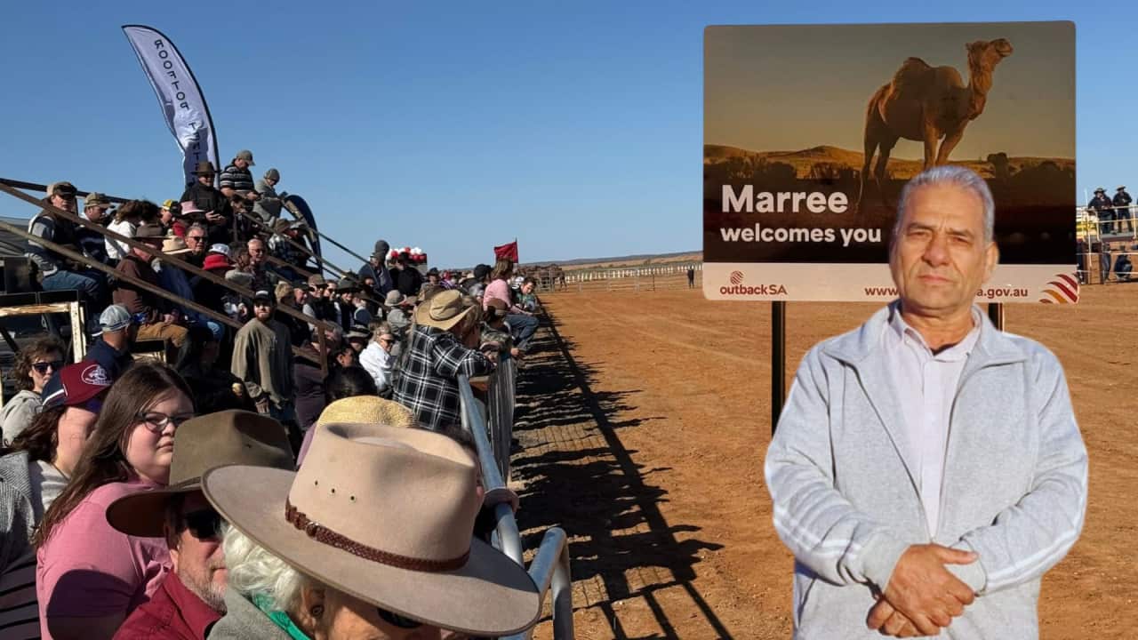 Untitled design (1).png