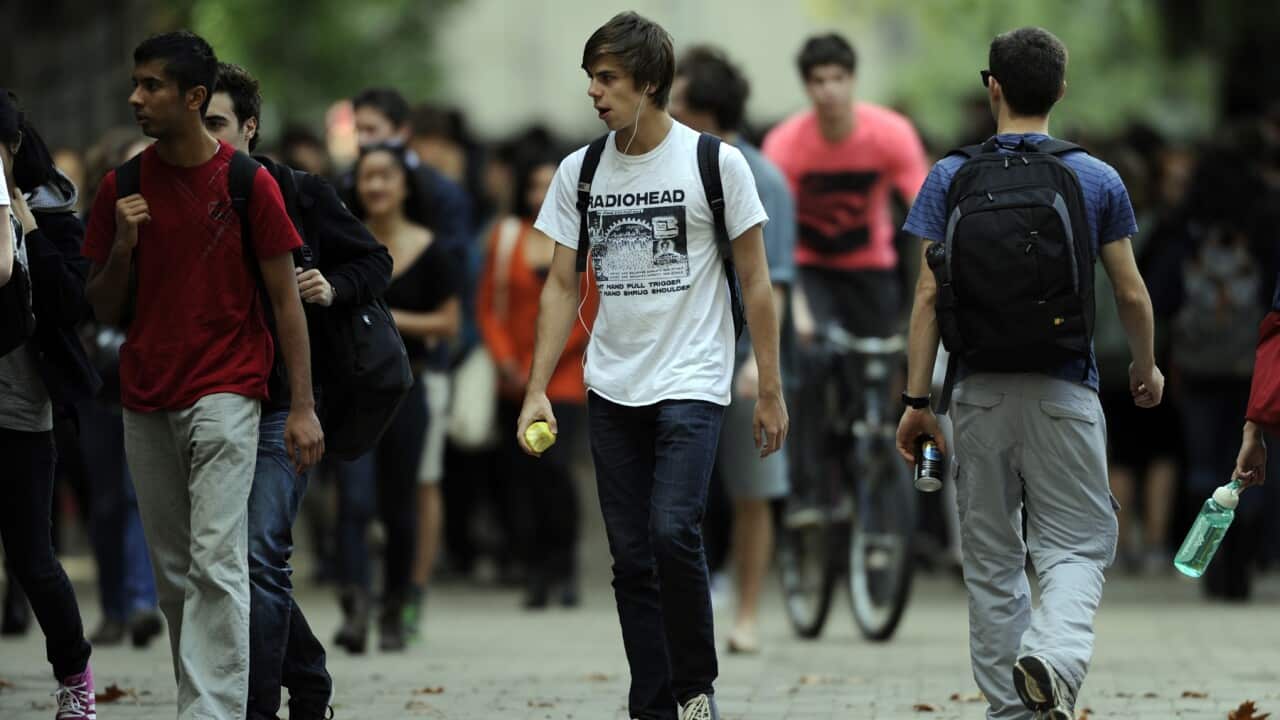 Strong criticism of the federal government's treatment of international students