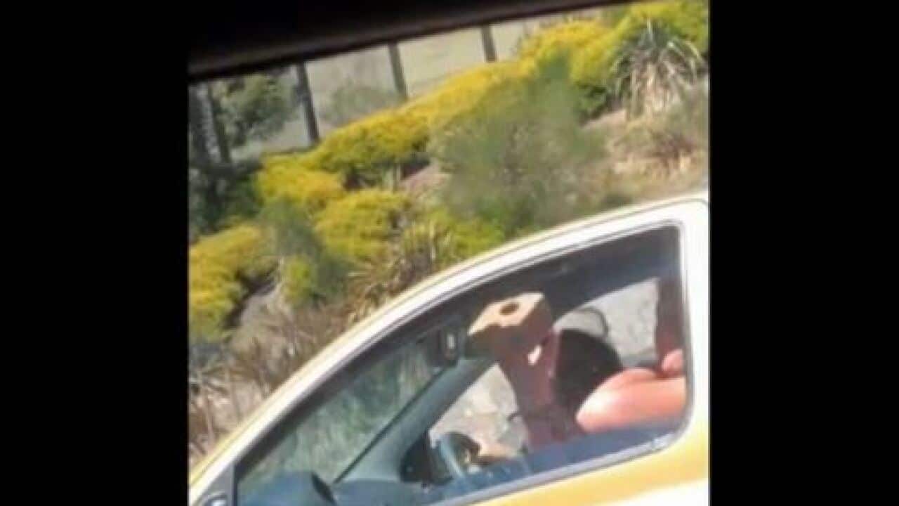 A woman threw brick on Monash Freeway.