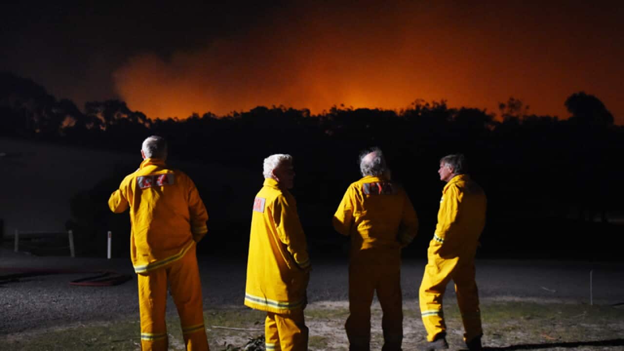 Victorian firefighters look on during a bushfire