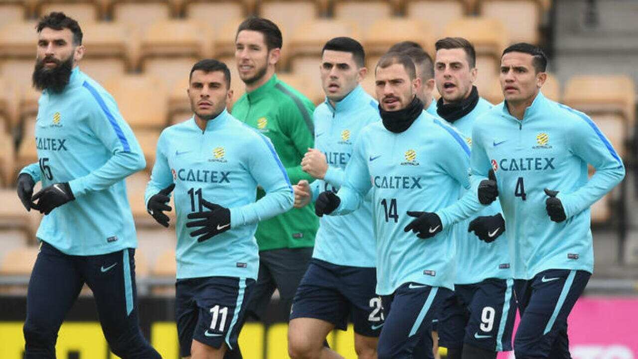 The Socceroos squad during a training session