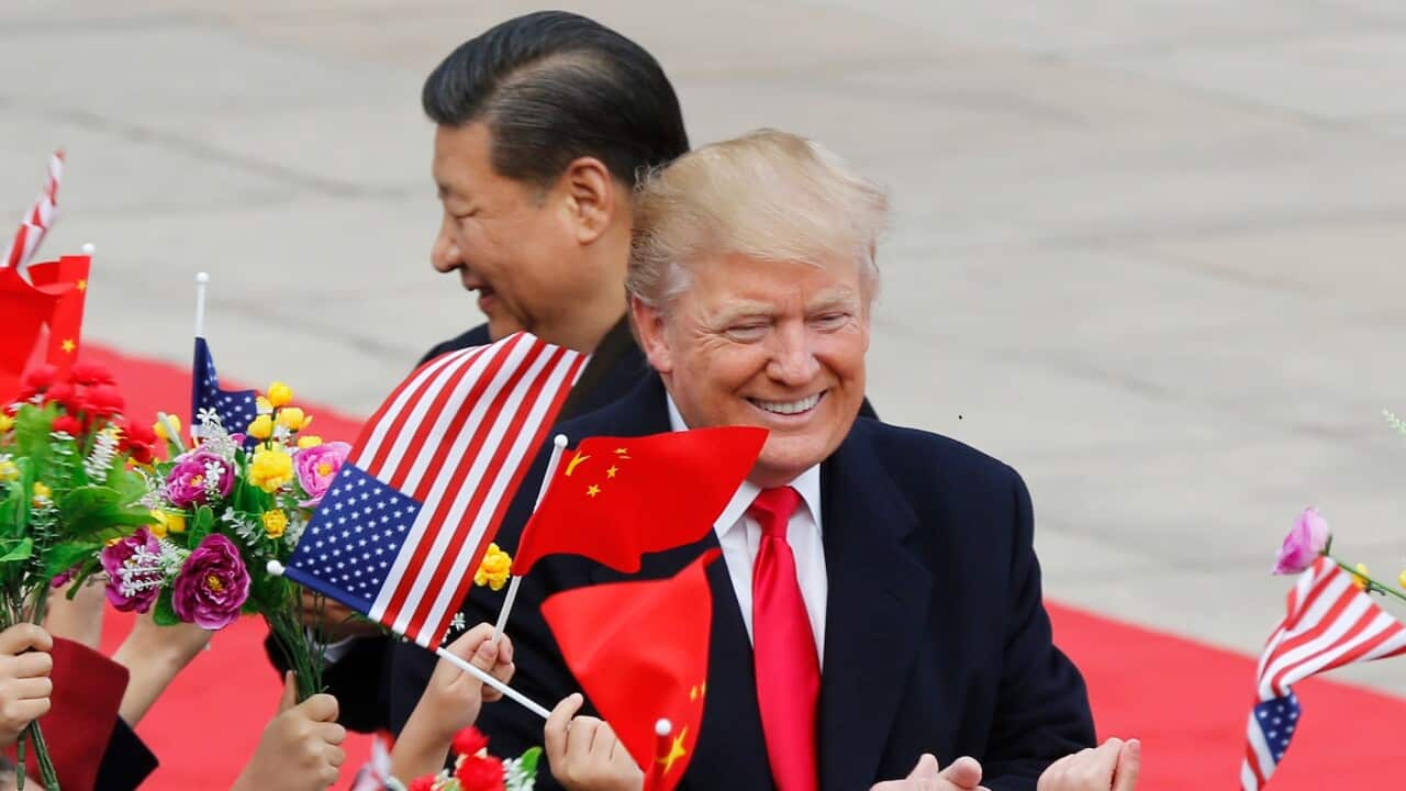 Donald Trump,Xi Jinping