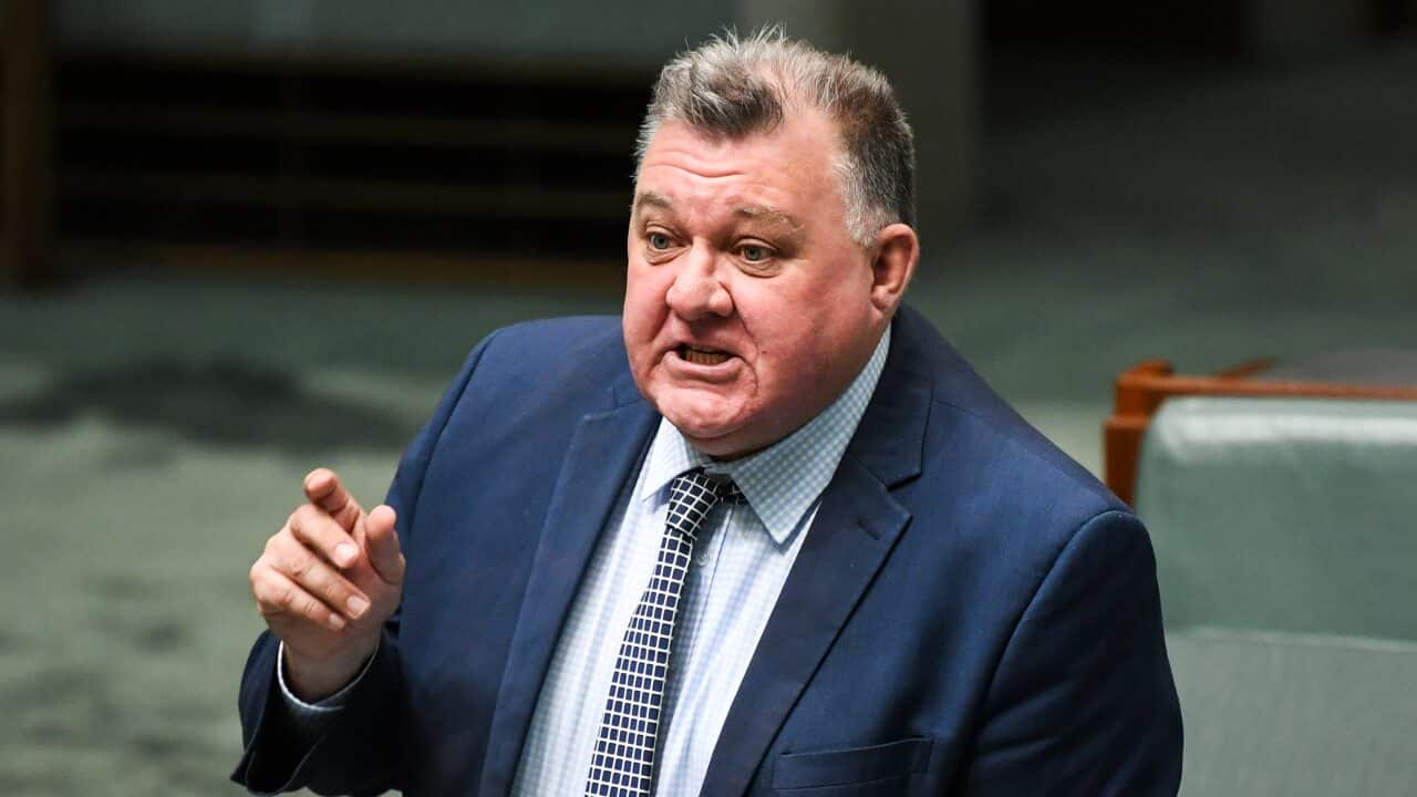 Liberal MP Craig Kelly speaks ahead of House of Representatives Question Time at Parliament House in August 2020.