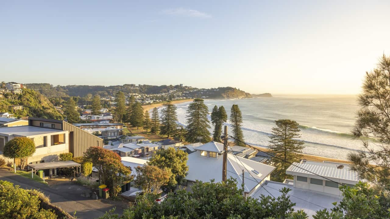 Roof tops of houses overlooking Avoca Beach at sunrise. NSW, Australia.