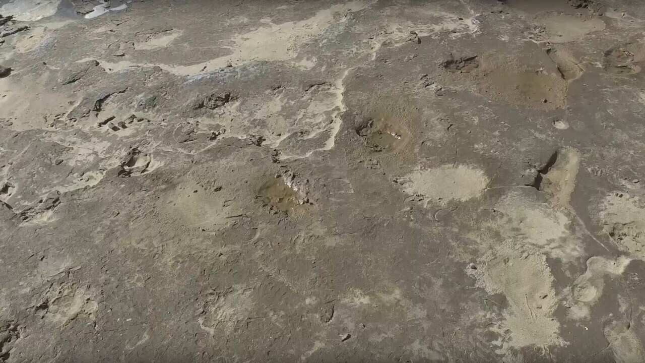 Ancient footprints at Formby in the UK (YouTube-CITIZAN).jpg