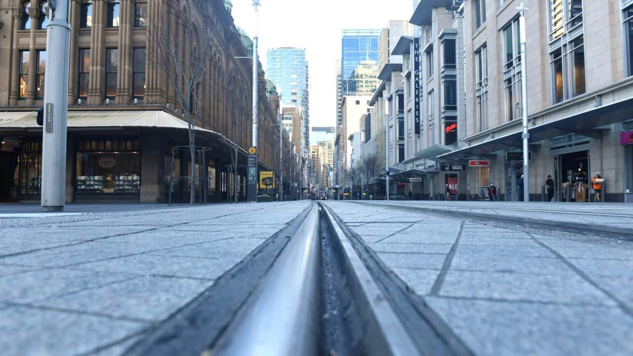 A near empty George Street is seen in the central business district in Sydney.
