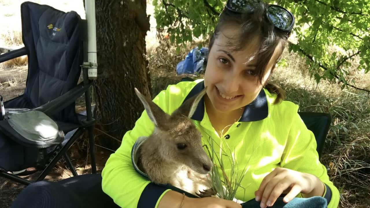 Image for read more article 'POTREBBE INTERESSARTI ANCHE'