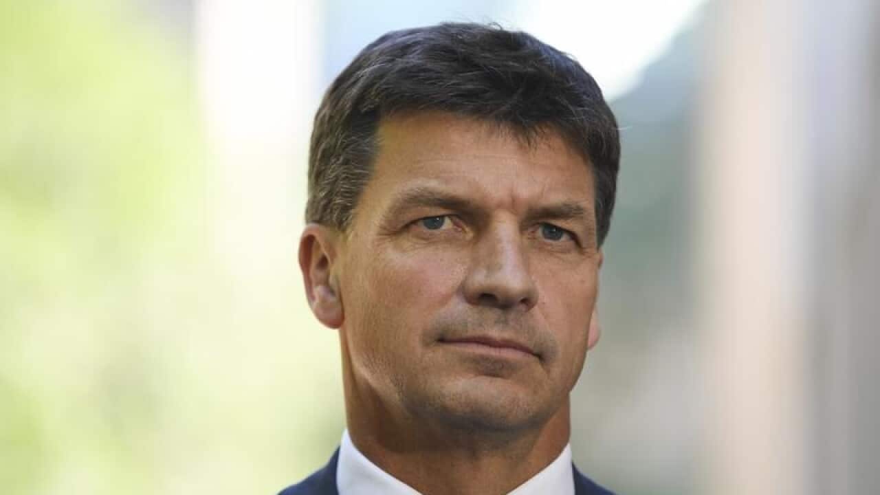 Energy Minister Angus Taylor