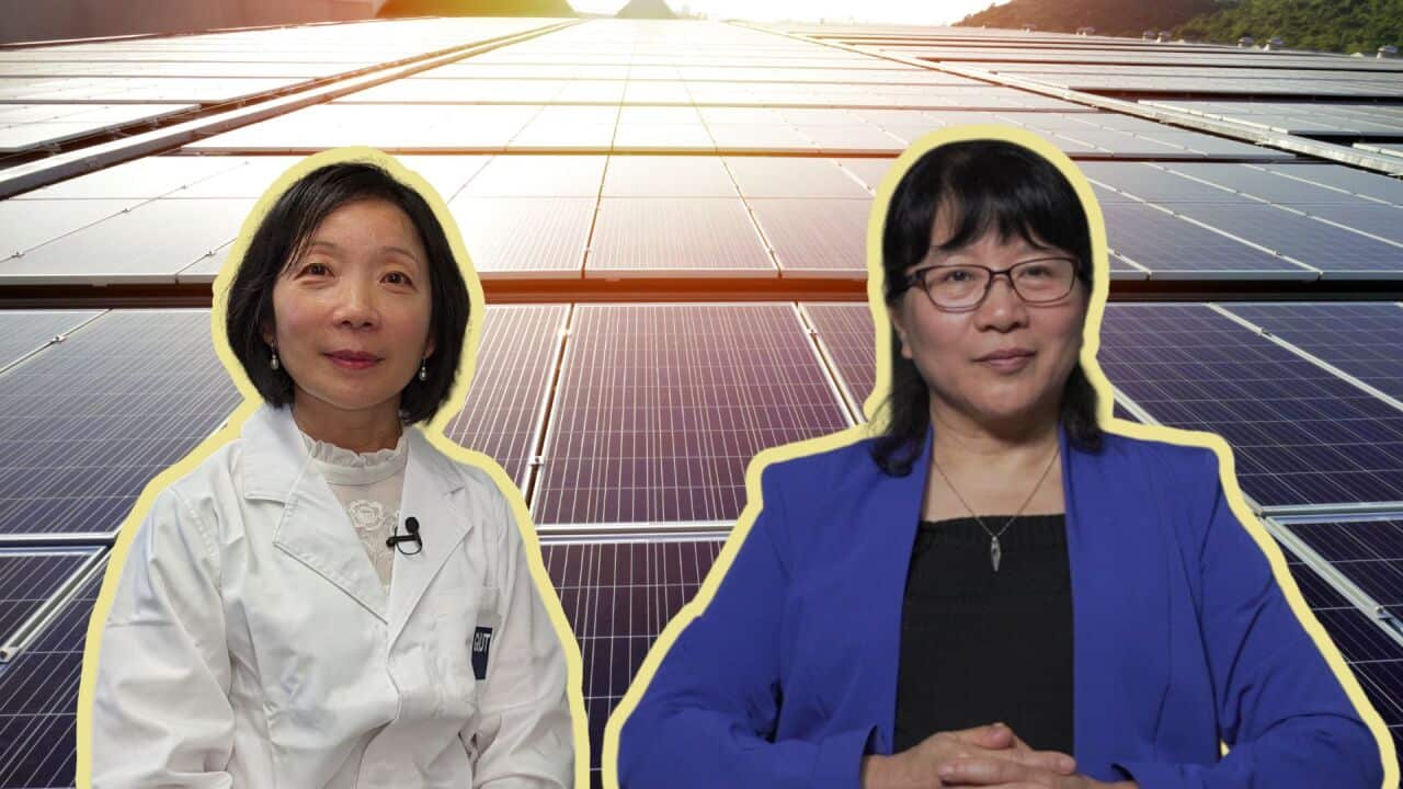 Image for read more article ''