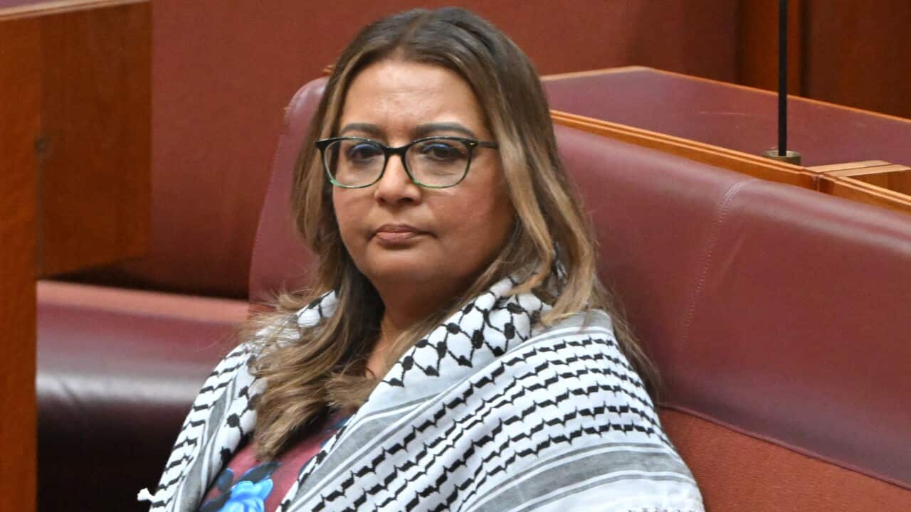 A woman sits in parliament with keffiyeh around her shoulders.