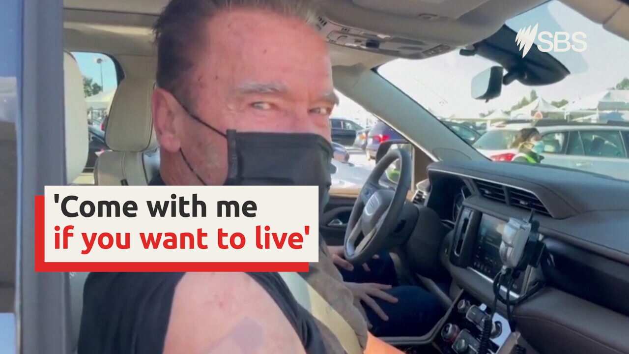 'Come with me if you want to live' - Schwarzenegger gets COVID vaccine