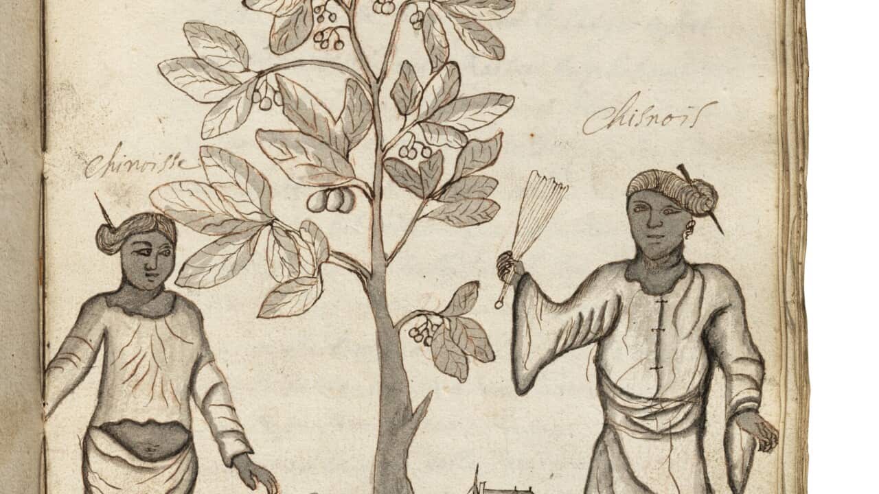 Bremond’s Zeichnung eines Mannes und einer Frau auf Java mit einem Papaya Baum.Photo Credit Christie’s Images Limited 2023.jpg