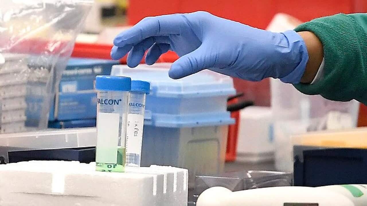 vaccine.jpg