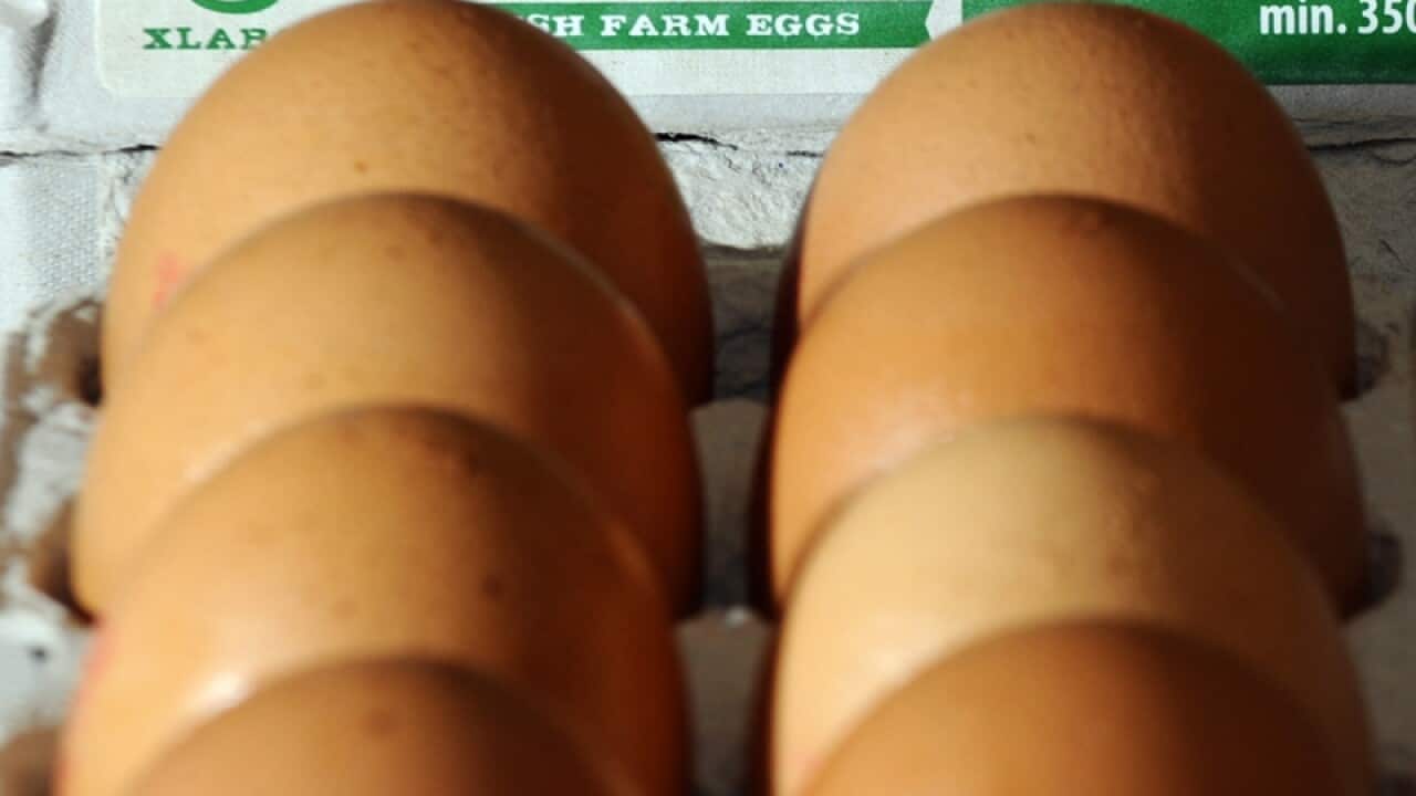 Free range eggs shown with caged eggs in Canberra