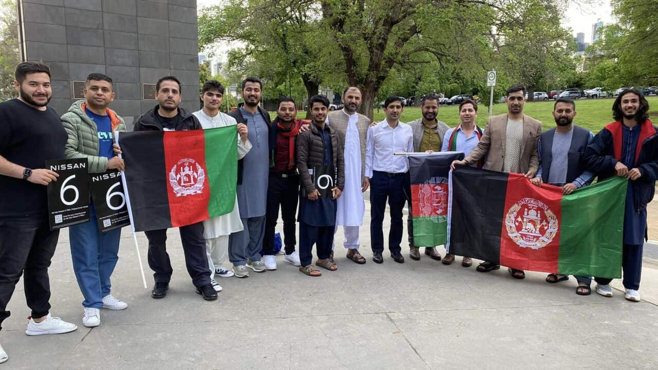 د آسټرالیا په ملبورن ښار کې د افغانستان د کرېکټ د ملي لوبډلې مینه وال د خپلې لوبډلې د تشوق لجاره راغونډ شوي دي.