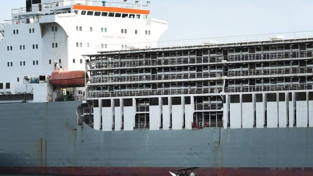 LIVE EXPORT SHIP BADER III