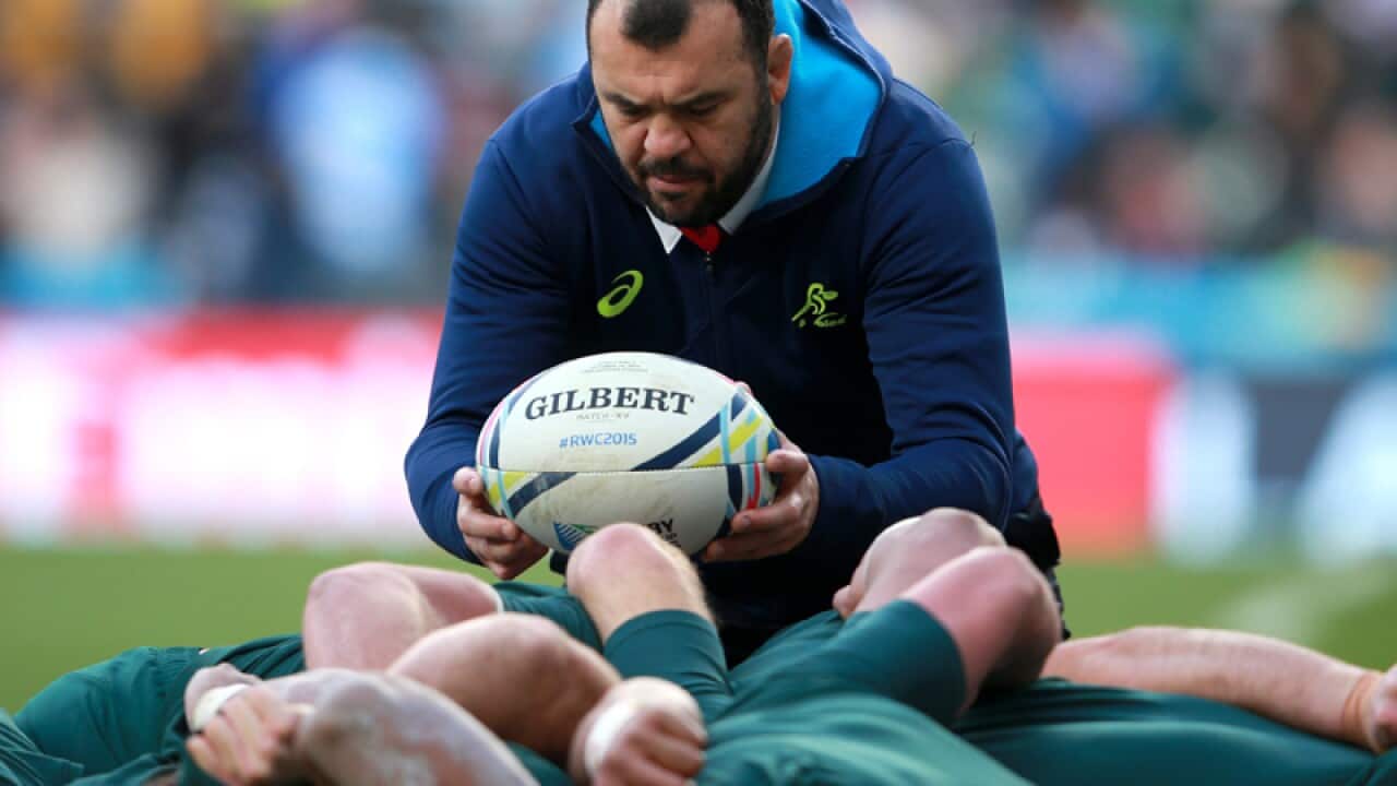 Australia head coach Michael Cheika
