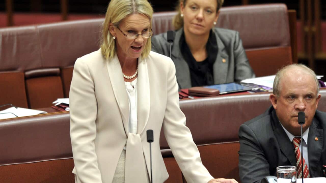 Assistant Health Minister Fiona Nash in parliament