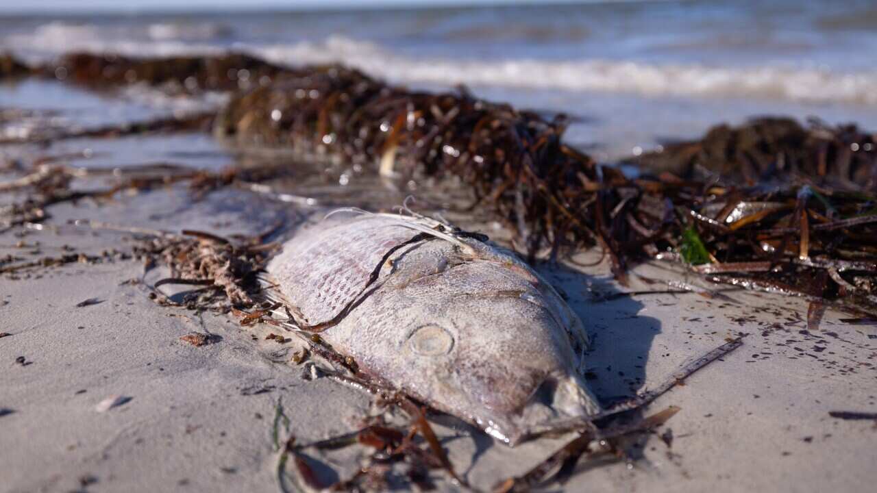 Image for read more article '相關內容'