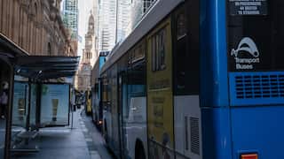 Two blue-and-white public buses line up on a city street.