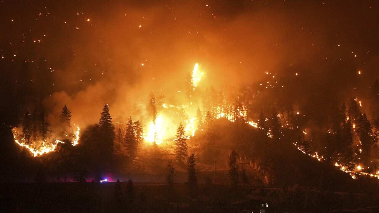 Image for read more article '更多內容'