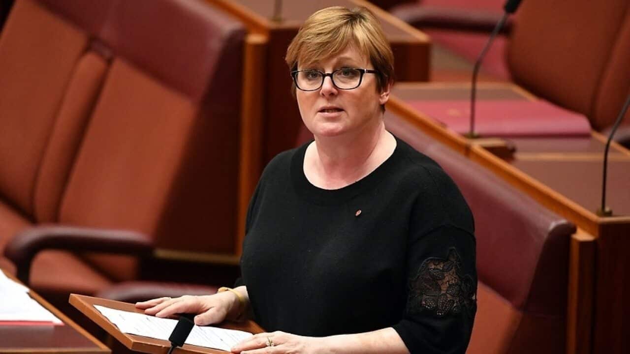 The chair of the government's Section 44 inquiry, Linda Reynolds, says her "personal belief" is that dual-citizenship rules should change.